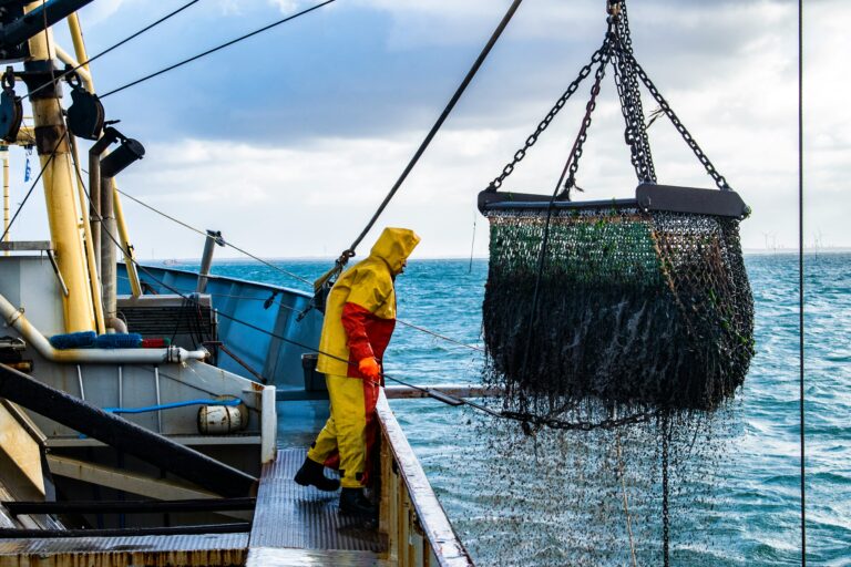 Jusqu’à 15% de la pêche serait illégale, révèle une nouvelle étude